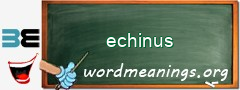 WordMeaning blackboard for echinus